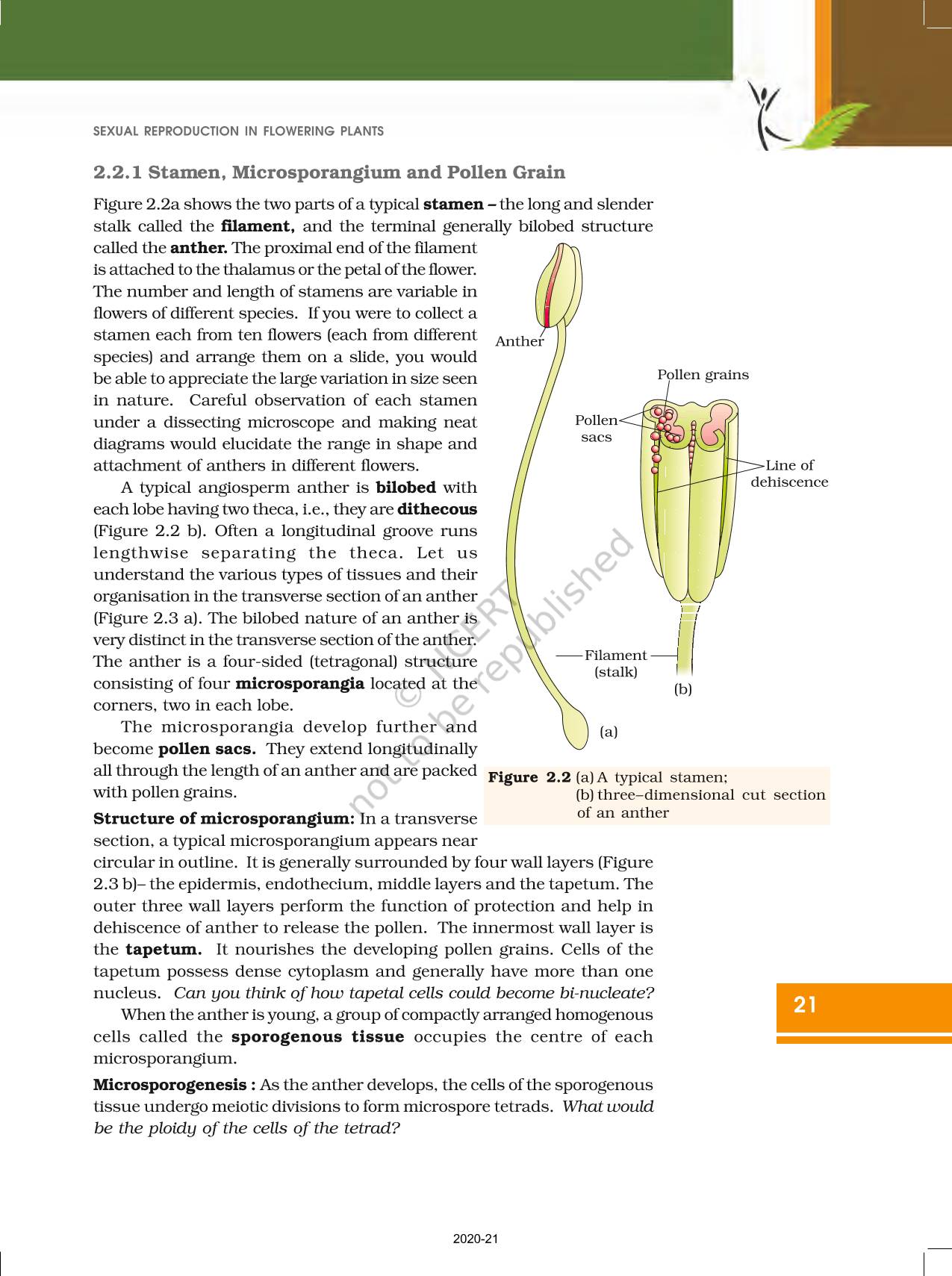 Sexual Reproduction In Flowering Plants Ncert Book Of Class 12 Biology 8090